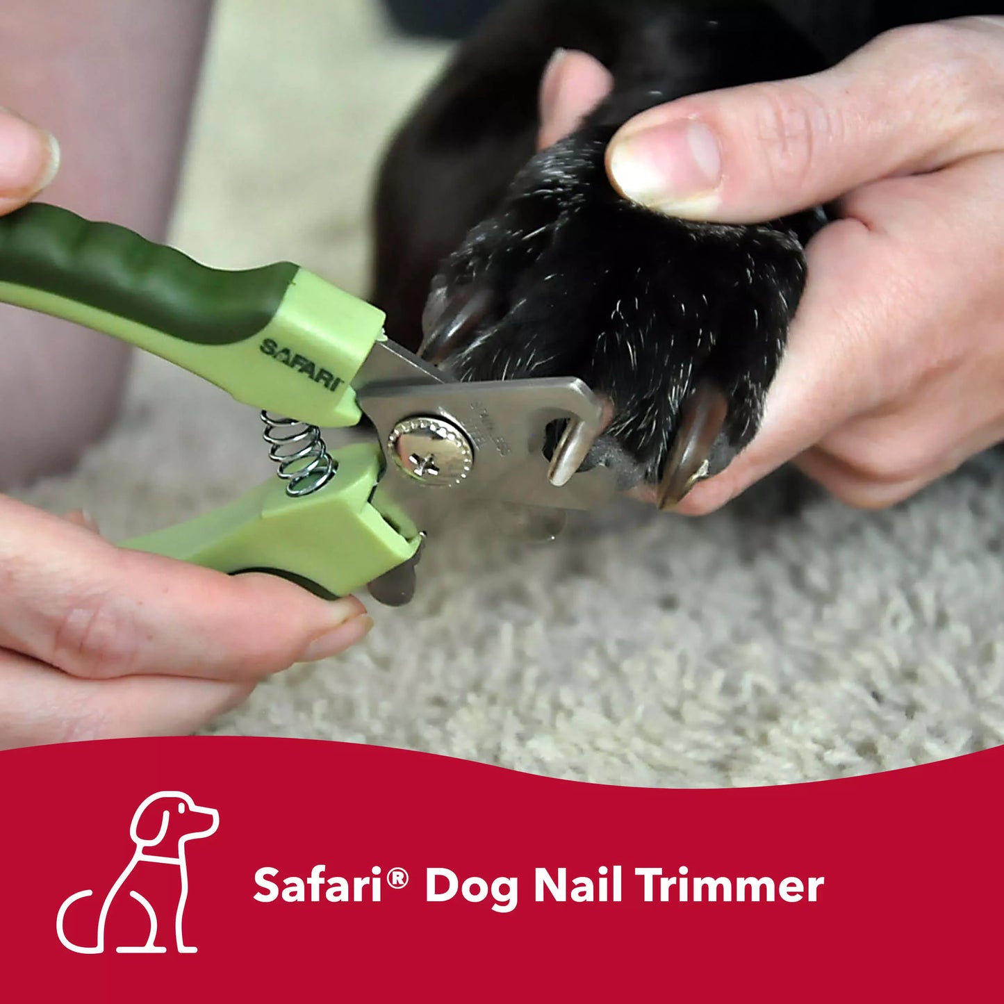 Professional Nail Trimmer
