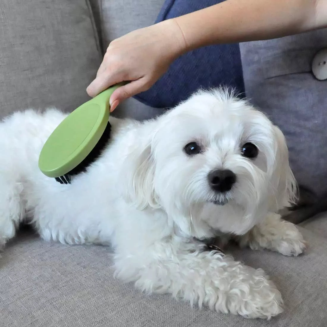 Bristle Brush