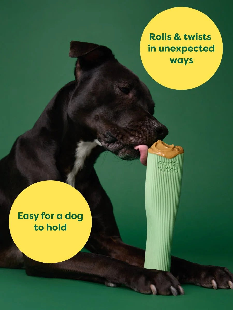 Chew Toy