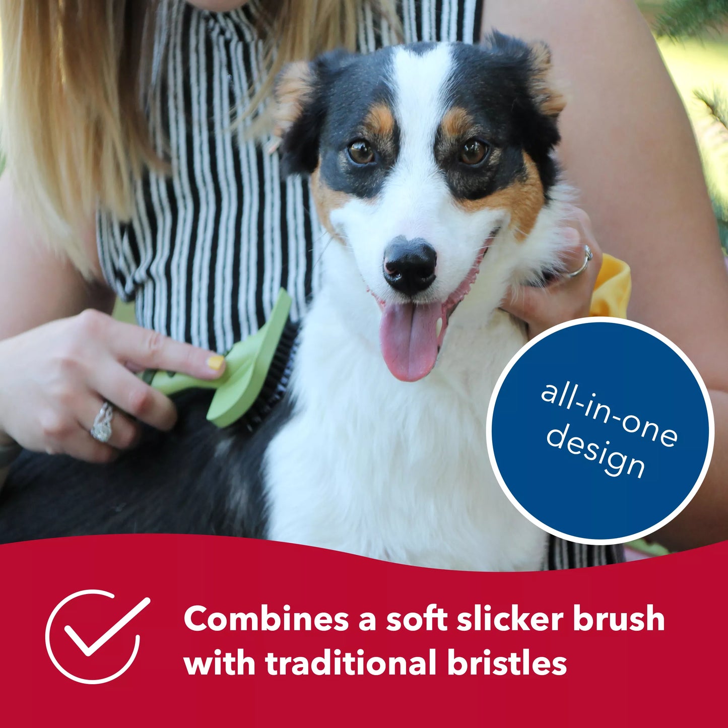 Complete Dog Brush