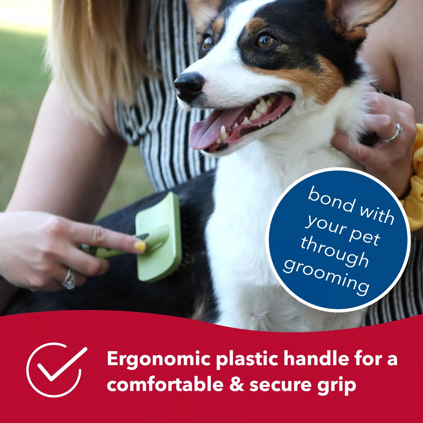 Complete Dog Brush