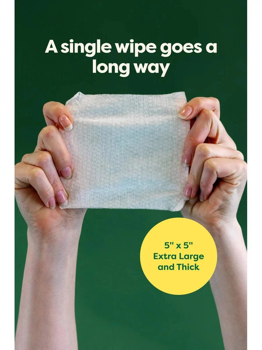 Ear Wipes