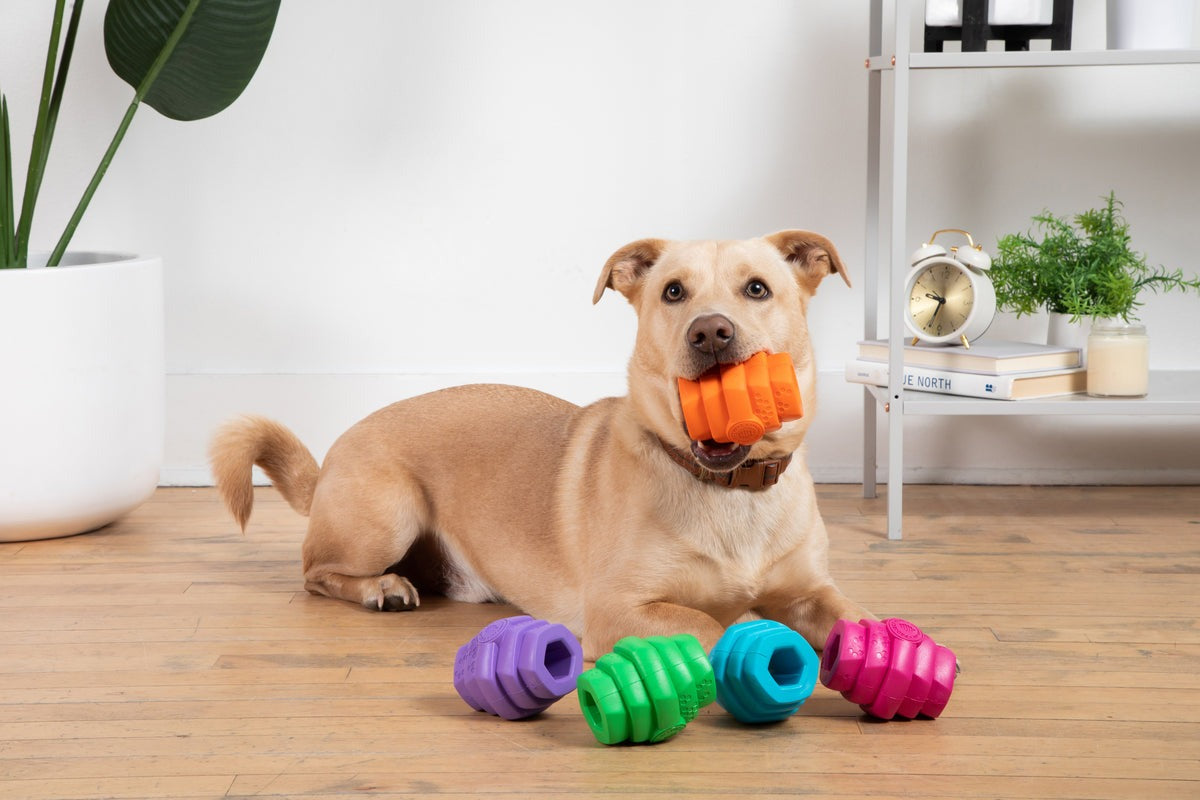 Hive Chew Toy