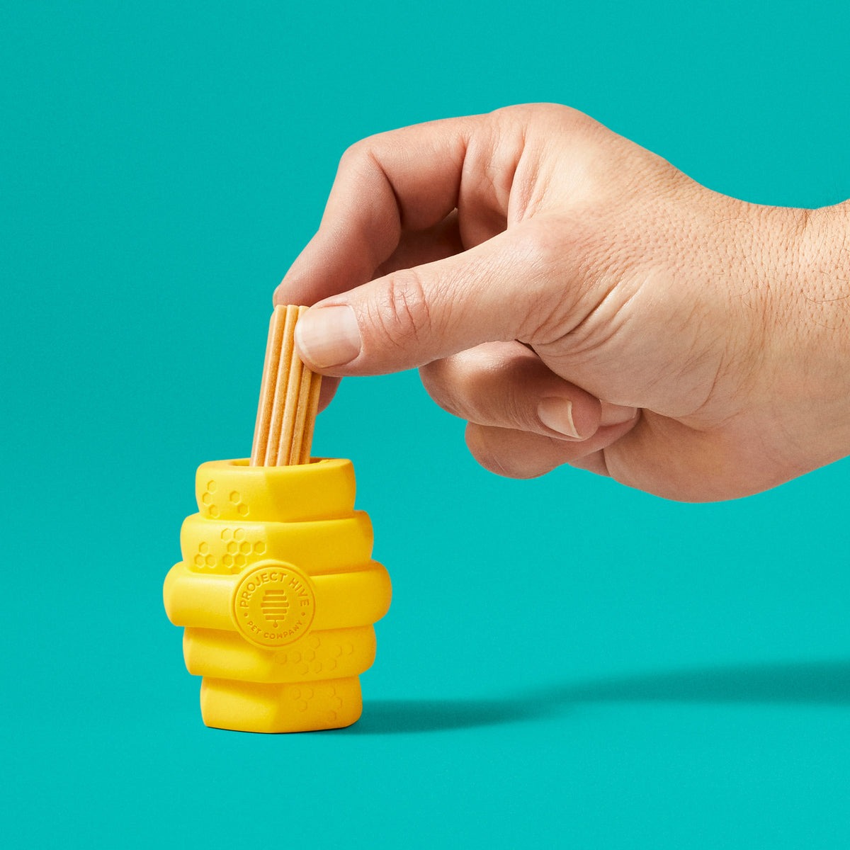 Hive Chew Toy