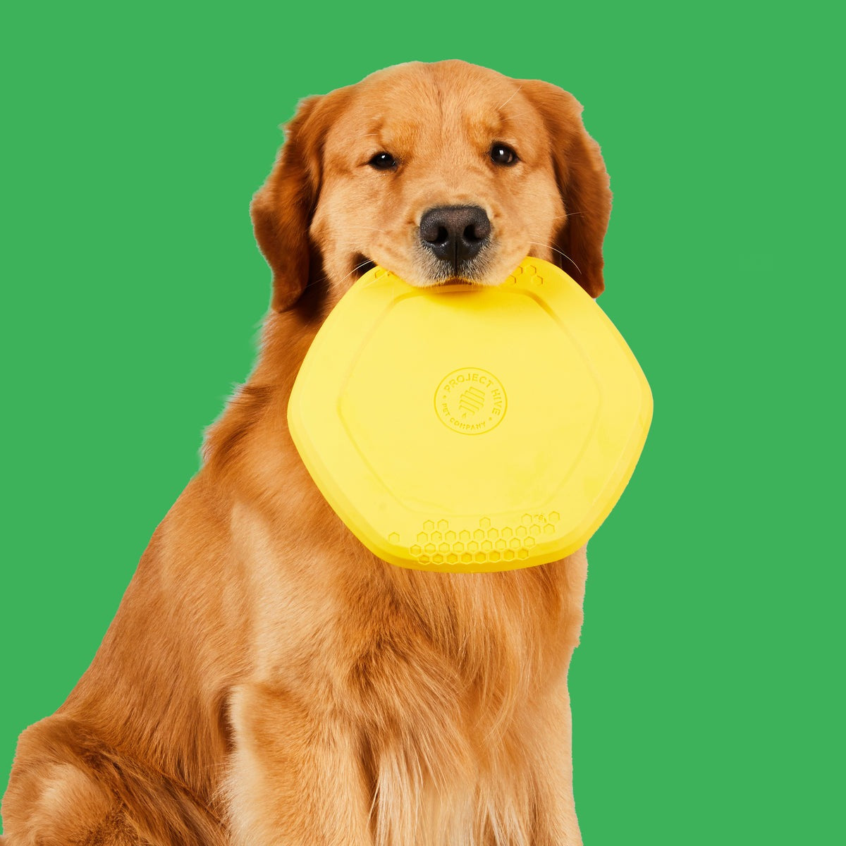 Hive Disc & Lick Mat