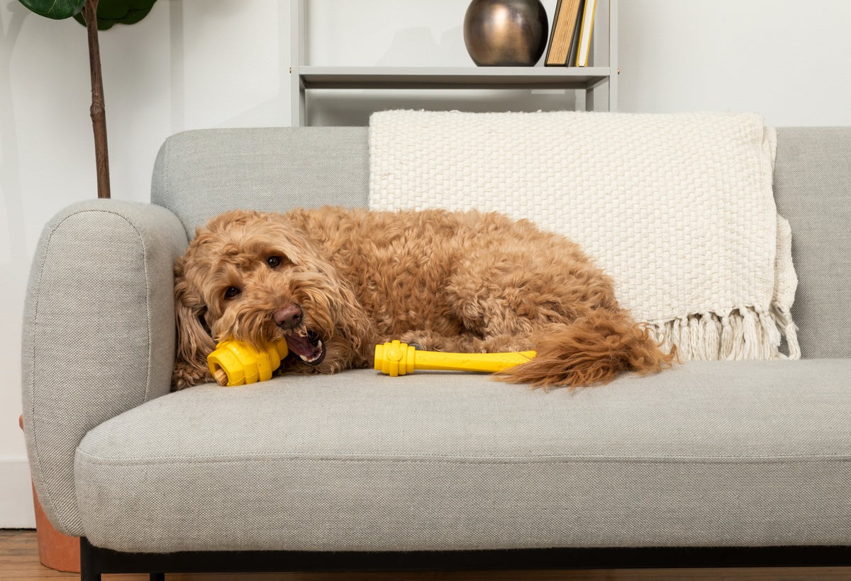 Hive Fetch Stick