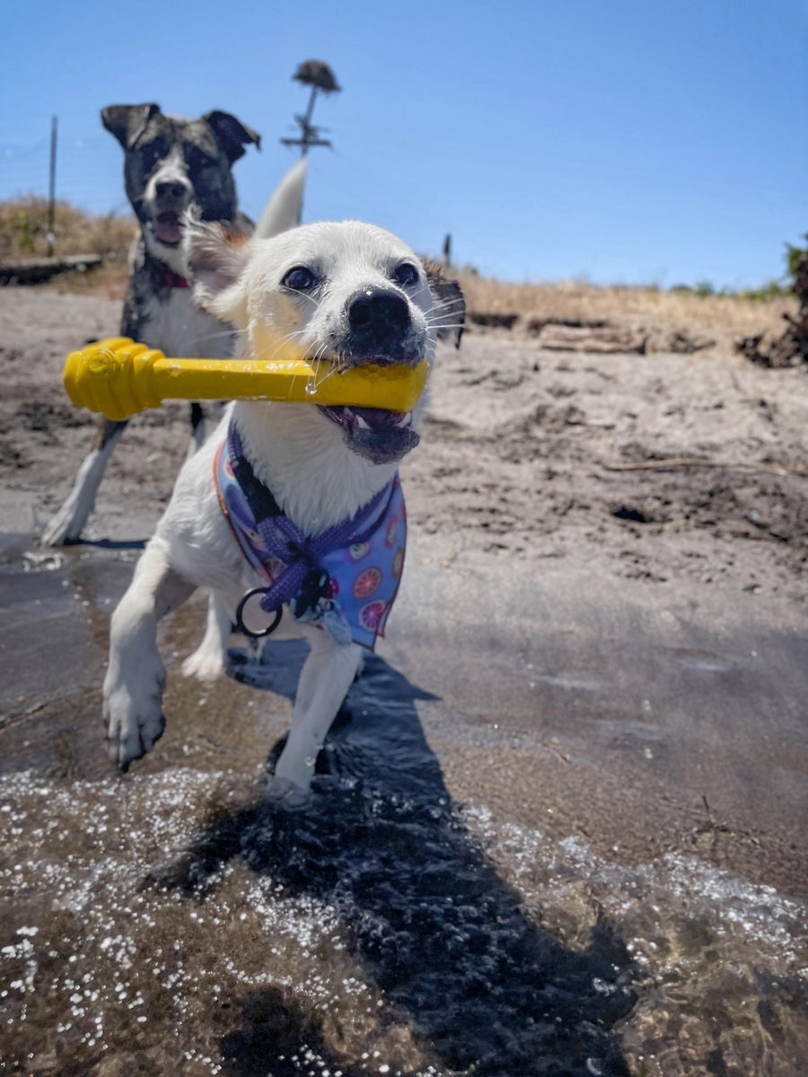 Hive Fetch Stick
