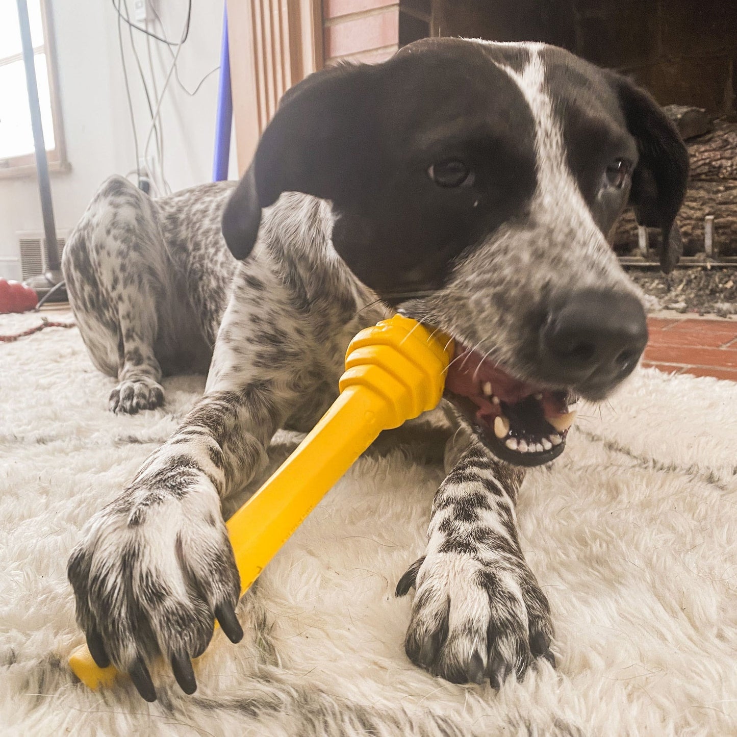 Hive Fetch Stick