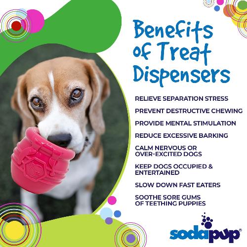 Honey Pot Durable Pup-X Rubber Treat Dispenser & Enrichment Toy