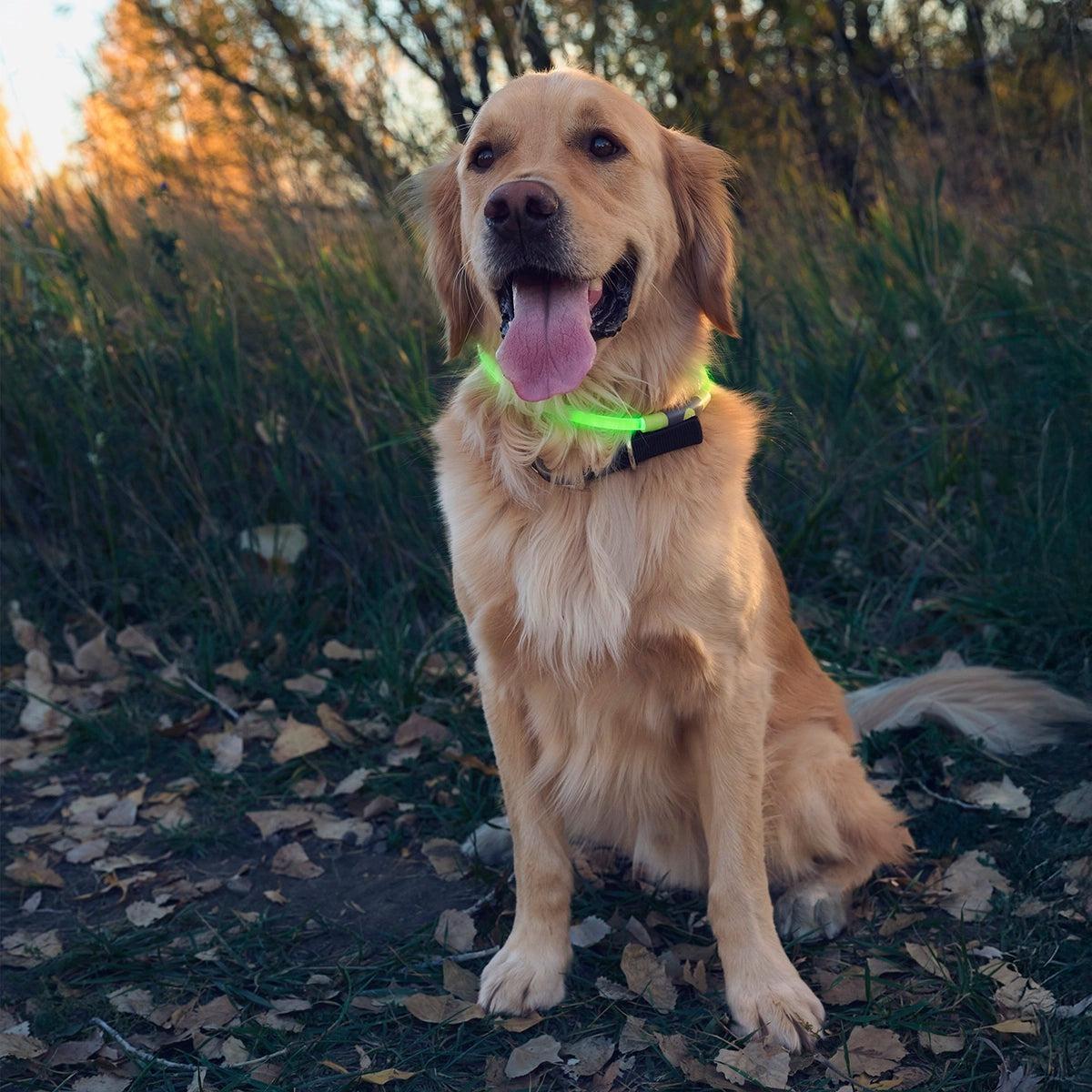 NiteHowl Rechargeable LED Safety Necklace