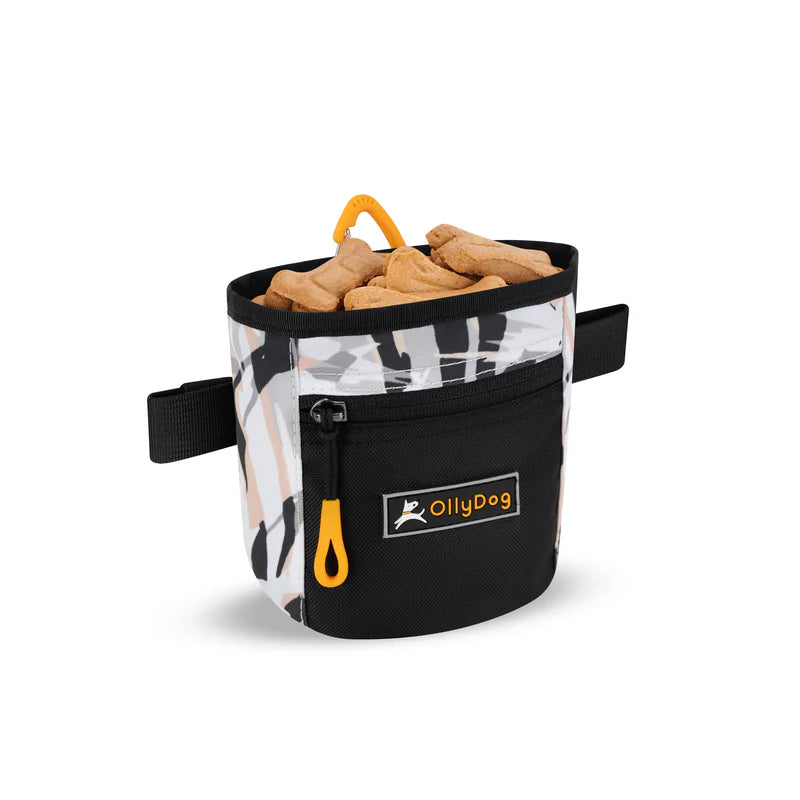 Goodie Treat Bag