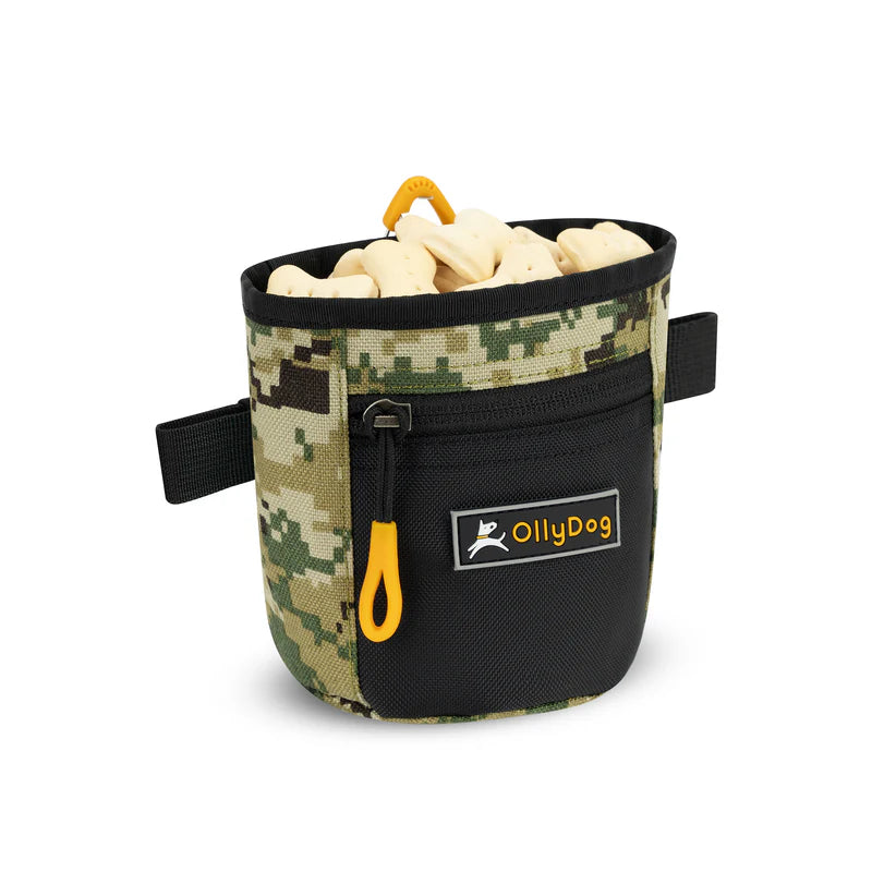 Goodie Treat Bag