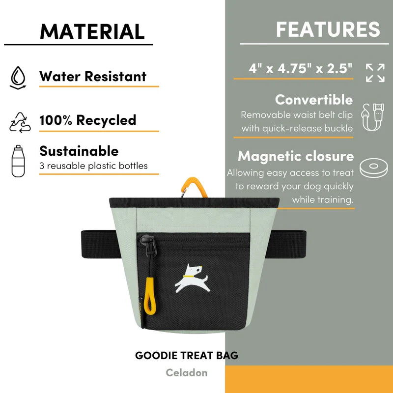 Goodie Treat Bag