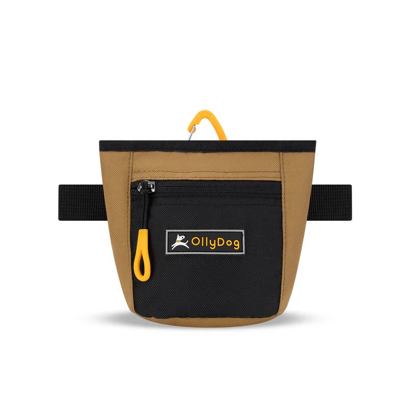 Goodie Treat Bag
