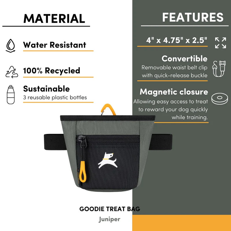Goodie Treat Bag