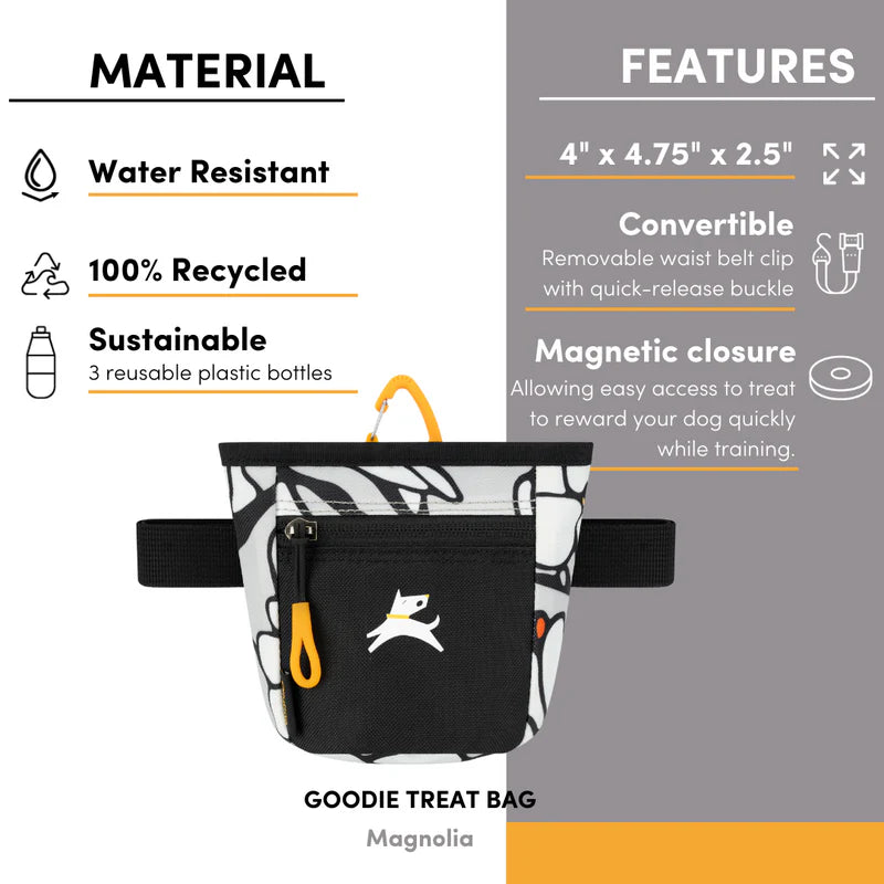 Goodie Treat Bag