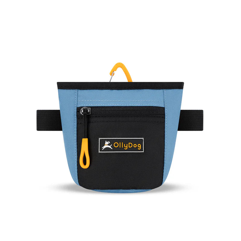 Goodie Treat Bag