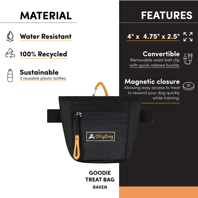 Goodie Treat Bag