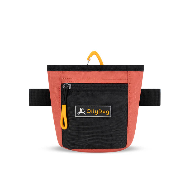 Goodie Treat Bag