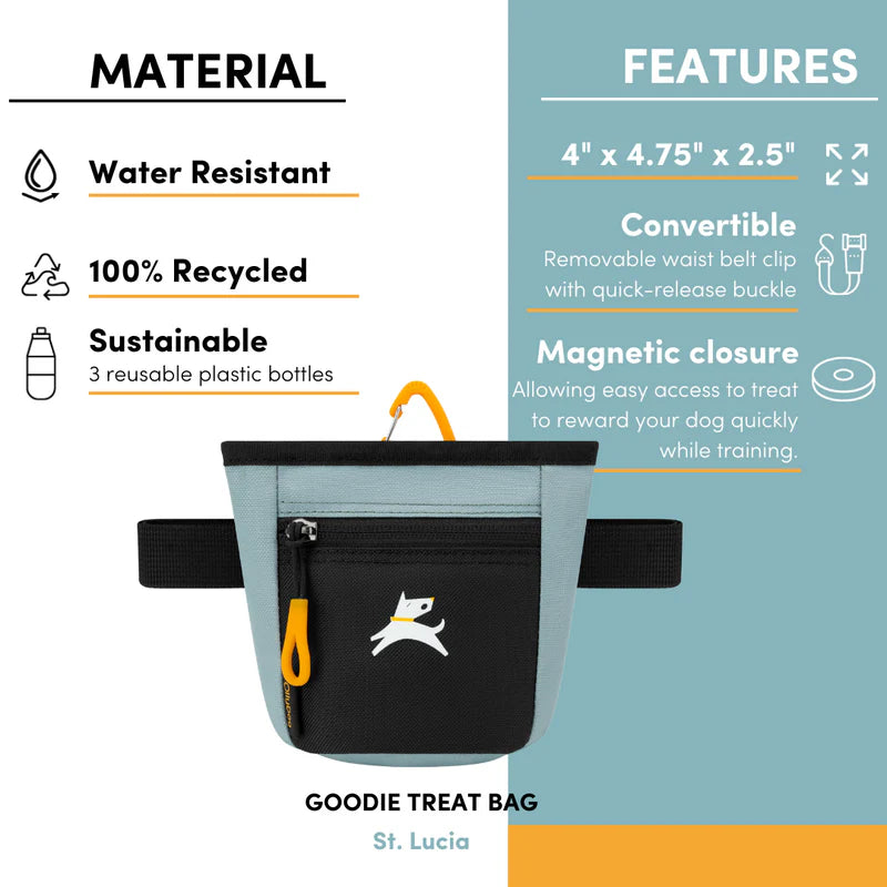 Goodie Treat Bag