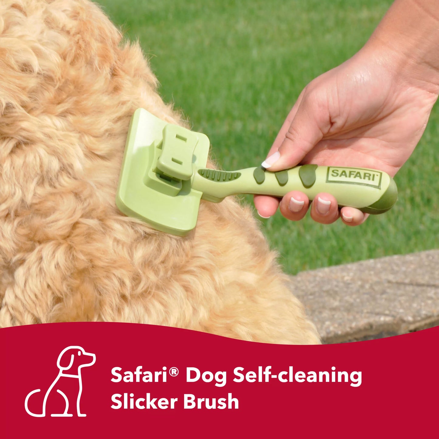 Self-Cleaning Slicker Brush