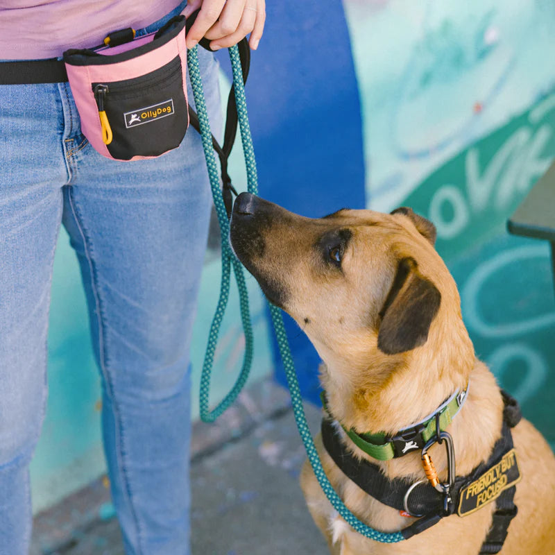 Mountain Leash