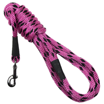 Long Snap Leash 15'