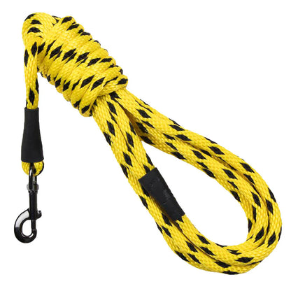 Long Snap Leash 15'