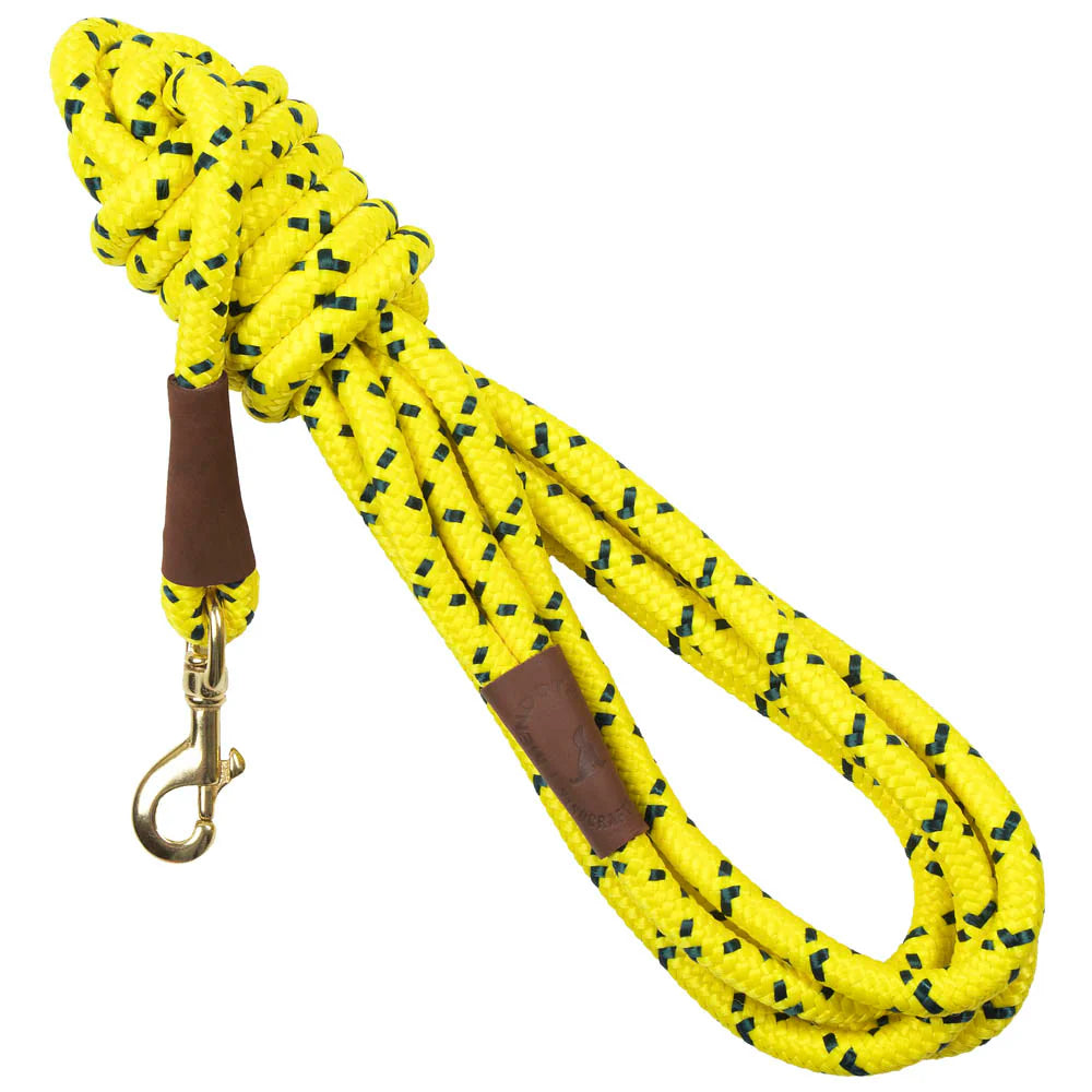Long Snap Leash 15'