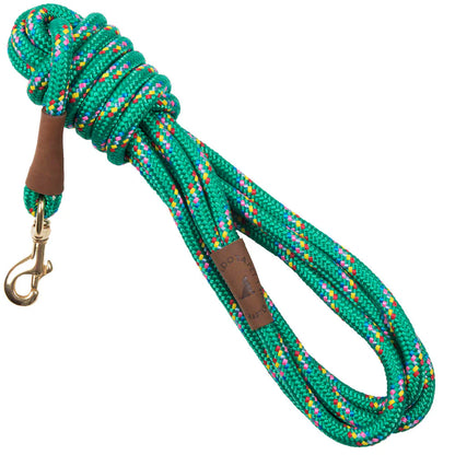 Long Snap Leash 15'