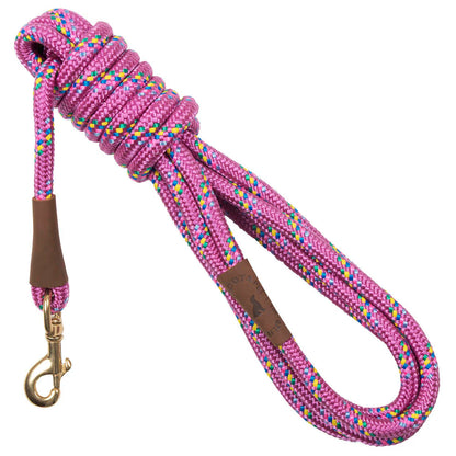 Long Snap Leash 15'