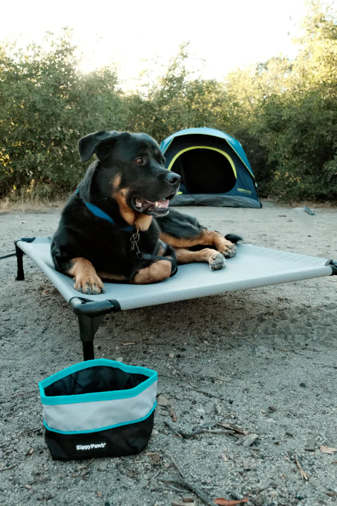 Adventure Bowl