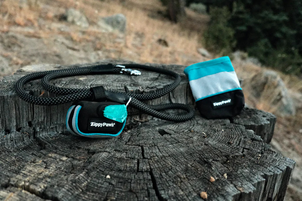 Adventure Treat Bag