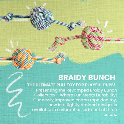 Braidy Bunch