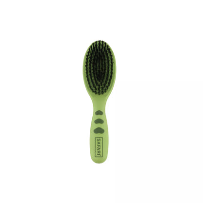 Bristle Brush