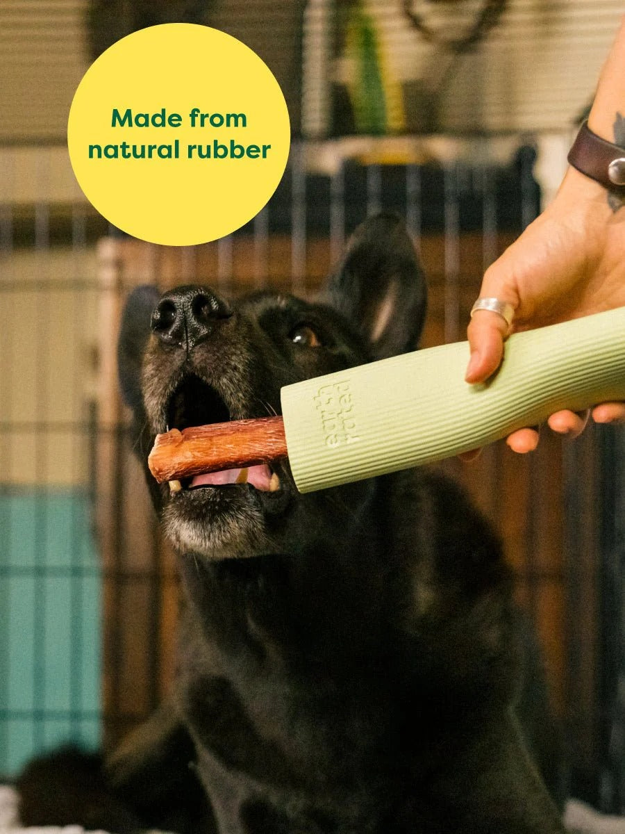Chew Toy