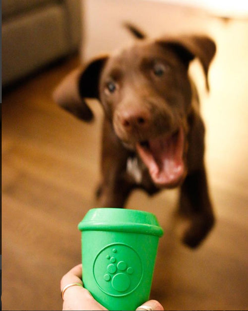 Coffee Cup Durable Rubber Chew Toy and Treat Dispenser