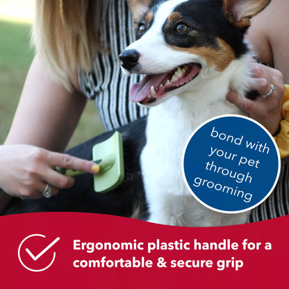 Complete Dog Brush