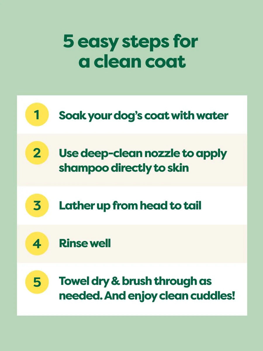 Curly Coat 3-in-1 Dog Shampoo