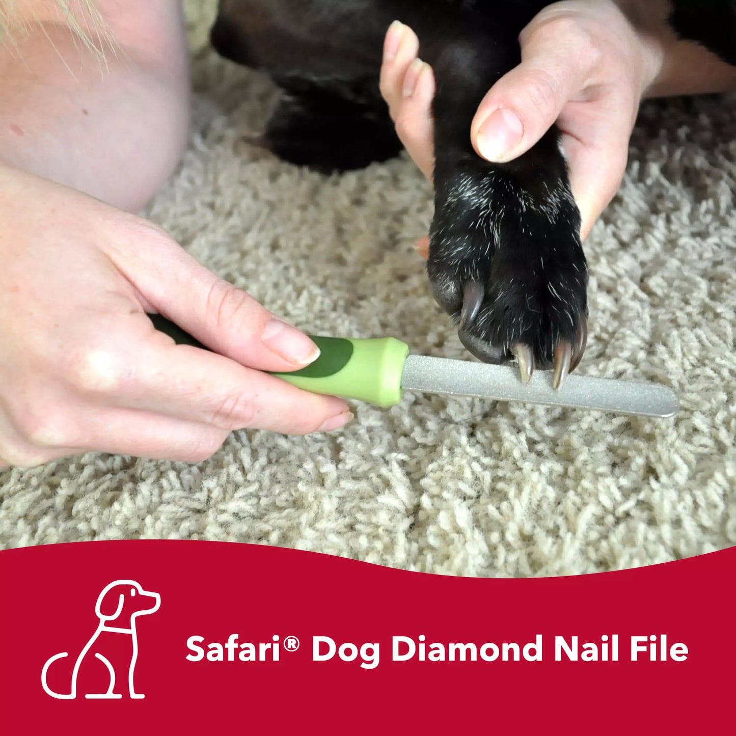 Diamond Nail File