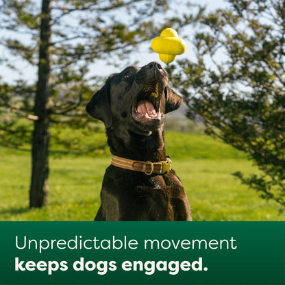 Fetch Toy