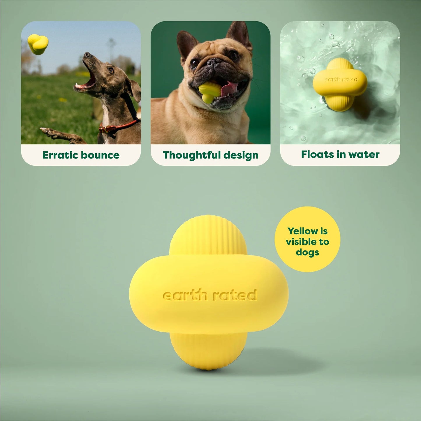 Fetch Toy