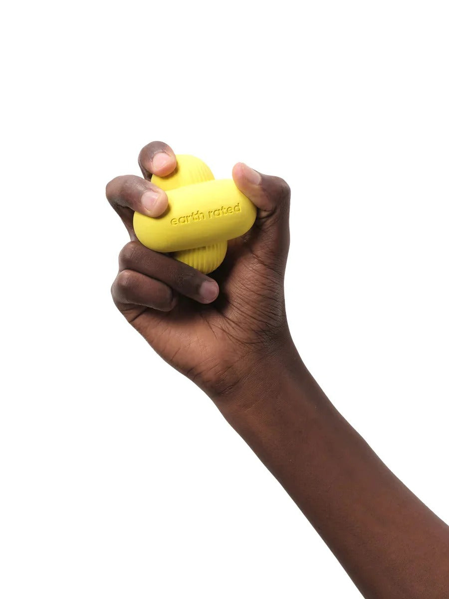 Fetch Toy
