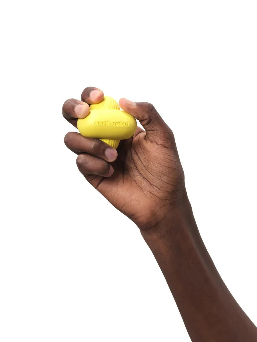 Fetch Toy