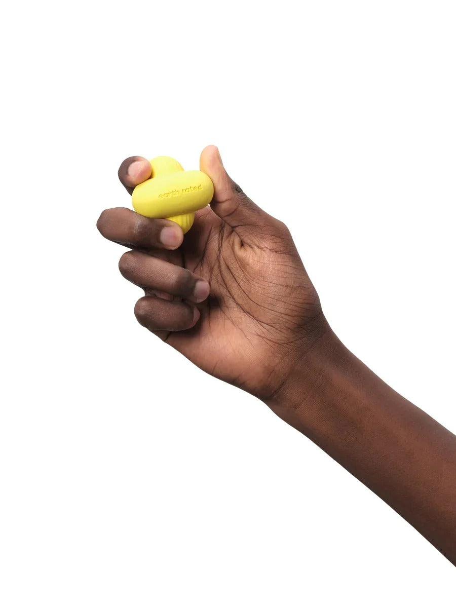 Fetch Toy