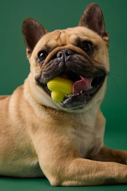 Fetch Toy