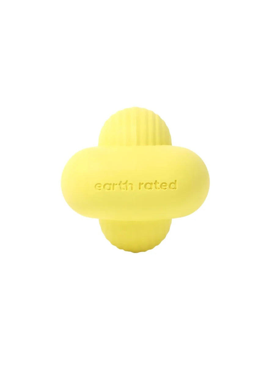 Fetch Toy