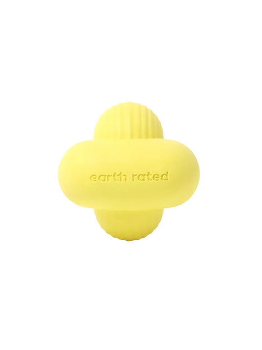 Fetch Toy