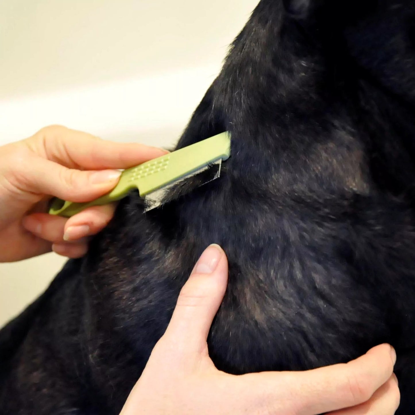 Flea Comb