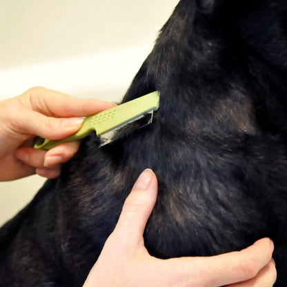 Flea Comb